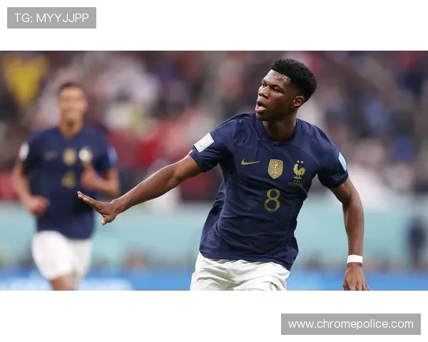 楚阿梅尼防守覆盖面积居西甲前列,表现稳健