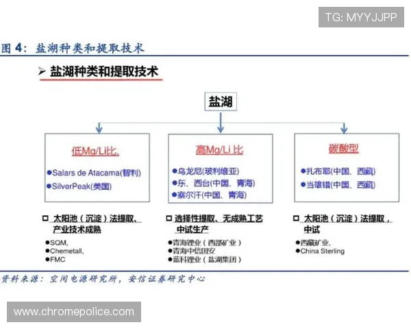 奥利塞战术角色依赖及体系适配性解析